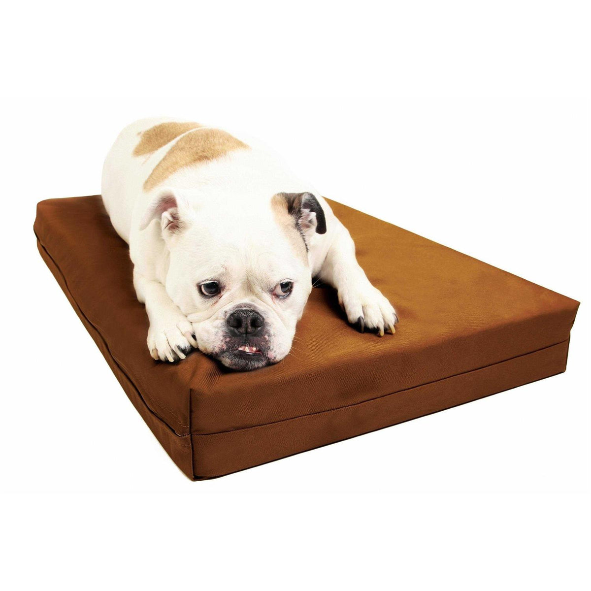 Orthopedic Crate Bed W11179