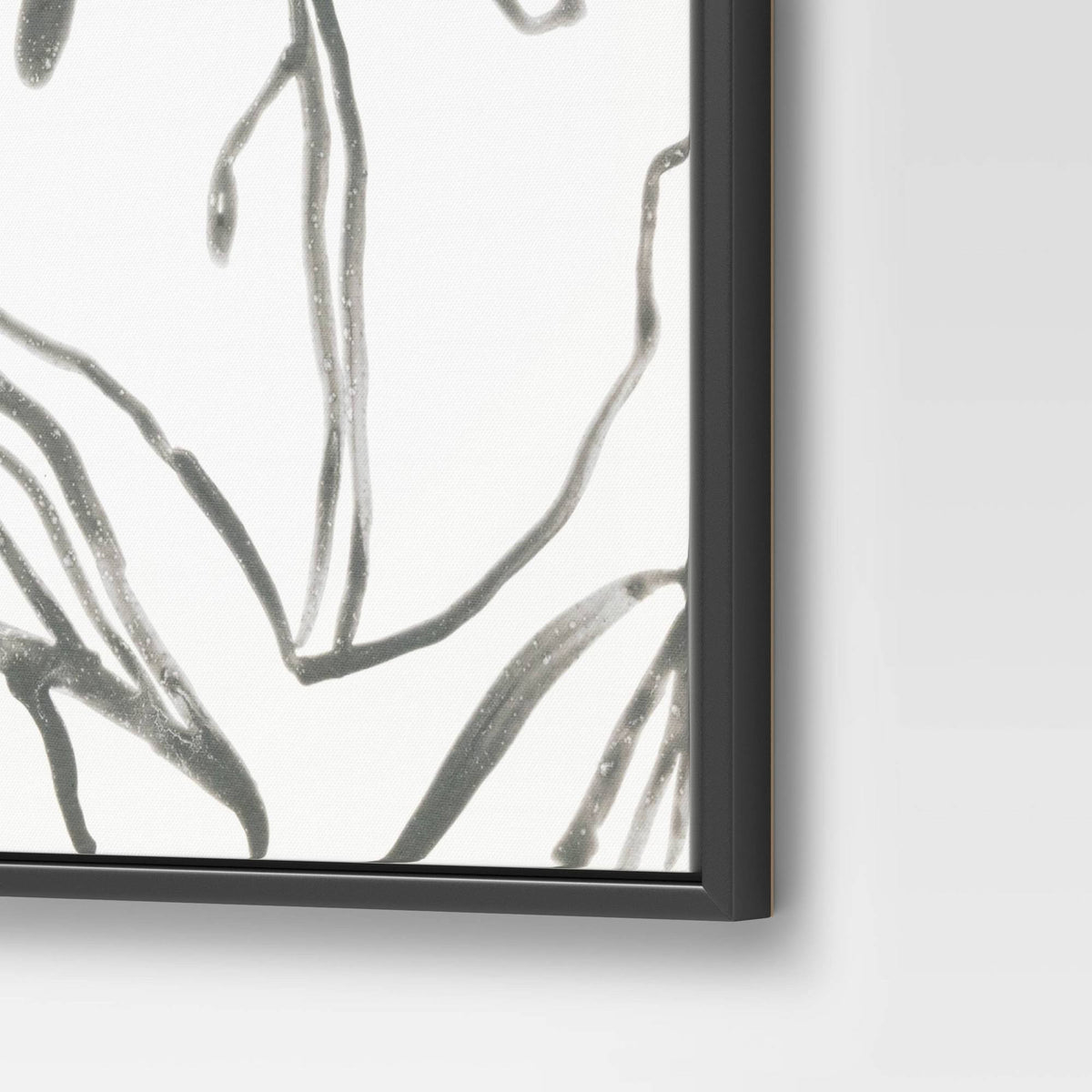 Botanical Sketch Framed Wall Canvas White/Black A973399