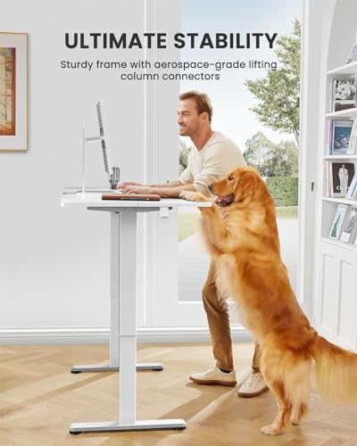 Height Adjustable Electric Standing Desk 48 x 24 Inches Black C426