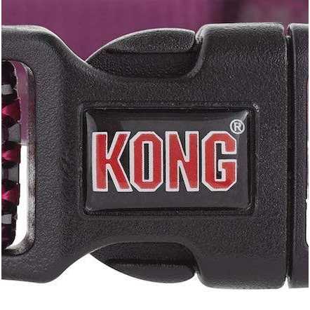 Neoprene Padded Dog Collar Q2496