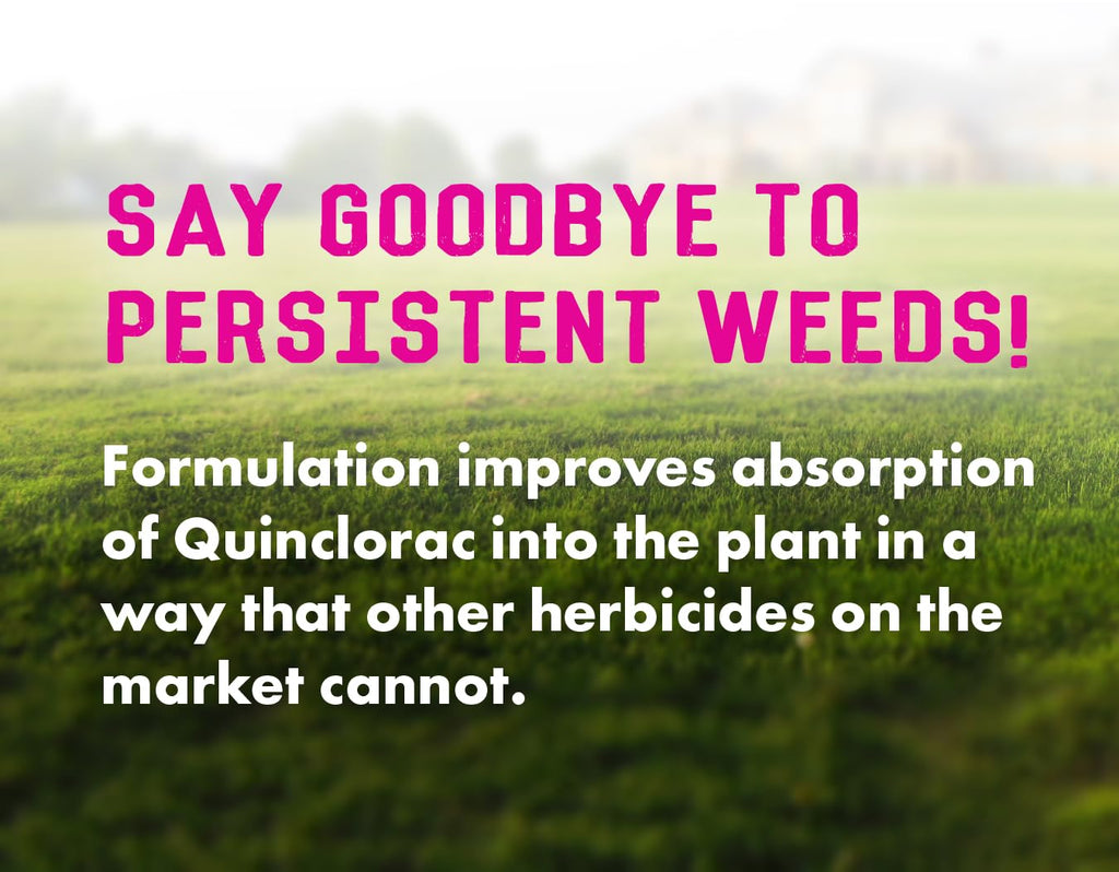 32 ounces Concentrated Crabgrass Herbicide with Quinclorac A9196