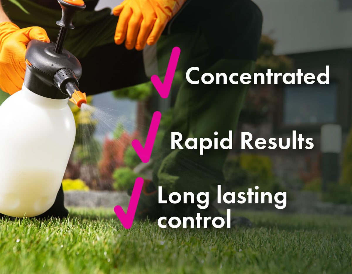 32 ounces Concentrated Crabgrass Herbicide with Quinclorac A9196
