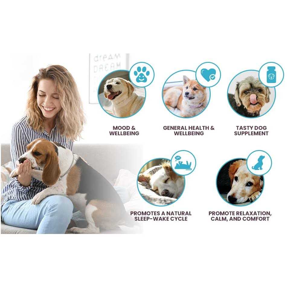 Melatonin for Small Dogs 1mg Y493665