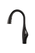 Black Pull-Down Kitchen Faucet W23243