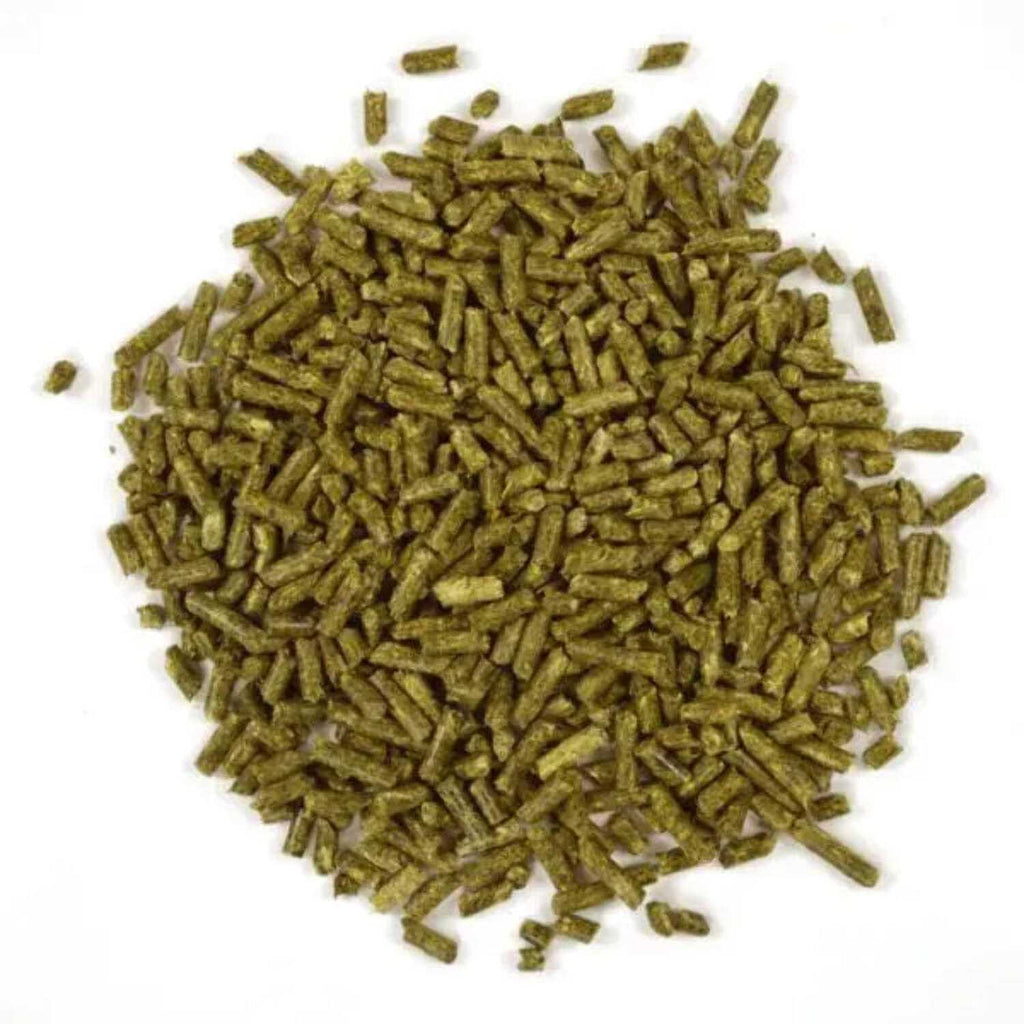 Young Rabbit Food Y943935