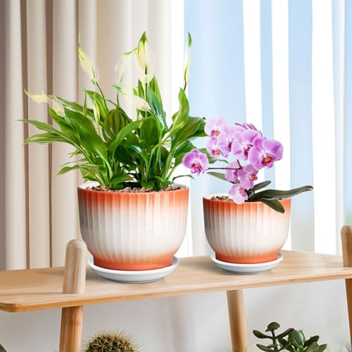 Blue White Ceramic Plant Pots Set of 2 N21452
