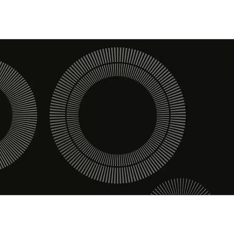 30 in. 4 Elements Electric Cooktop J95202