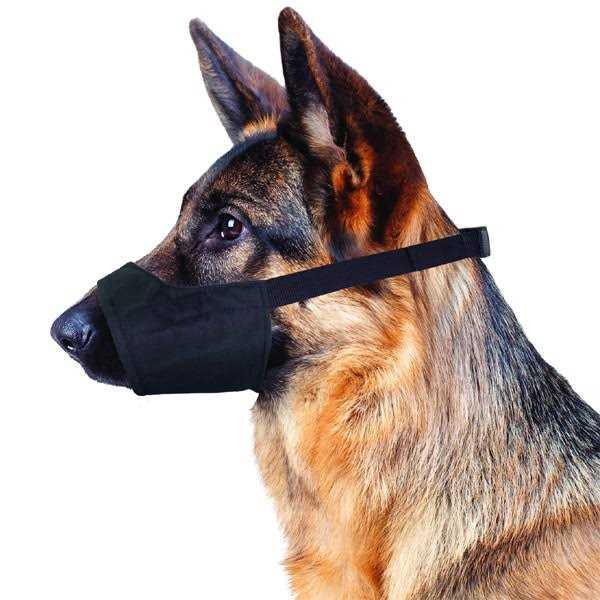 Muzzle I961580