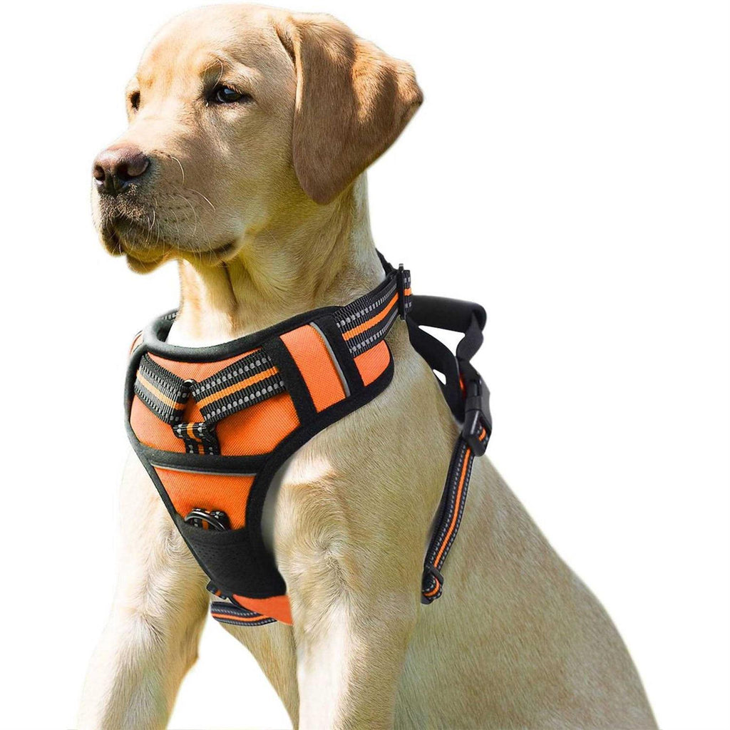 Padded Reflective Dog Harness S6303