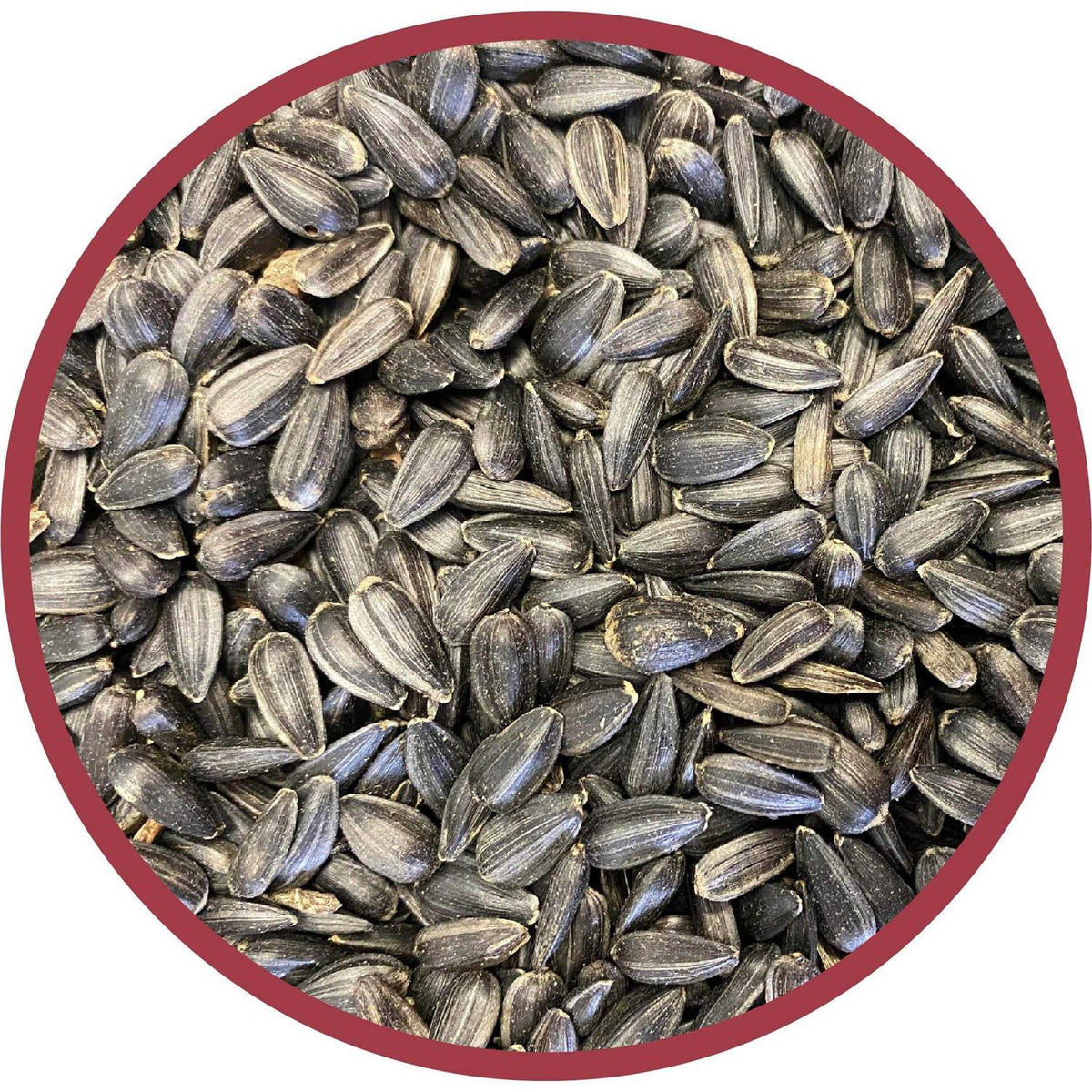 Black Oil Sunflower Seed Wild Bird Feed U976