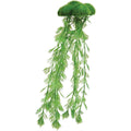 Floating Moss with Roots G823