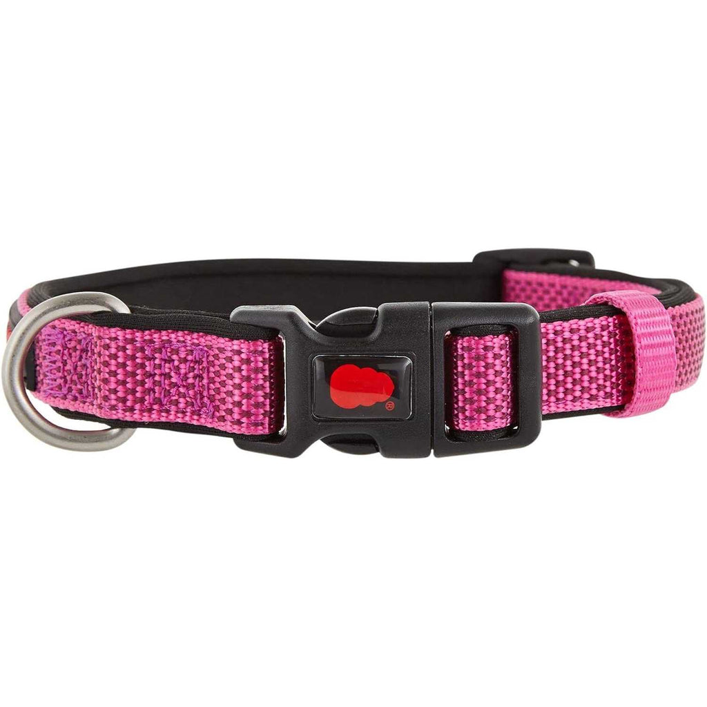 Neoprene Padded Dog Collar Q2496