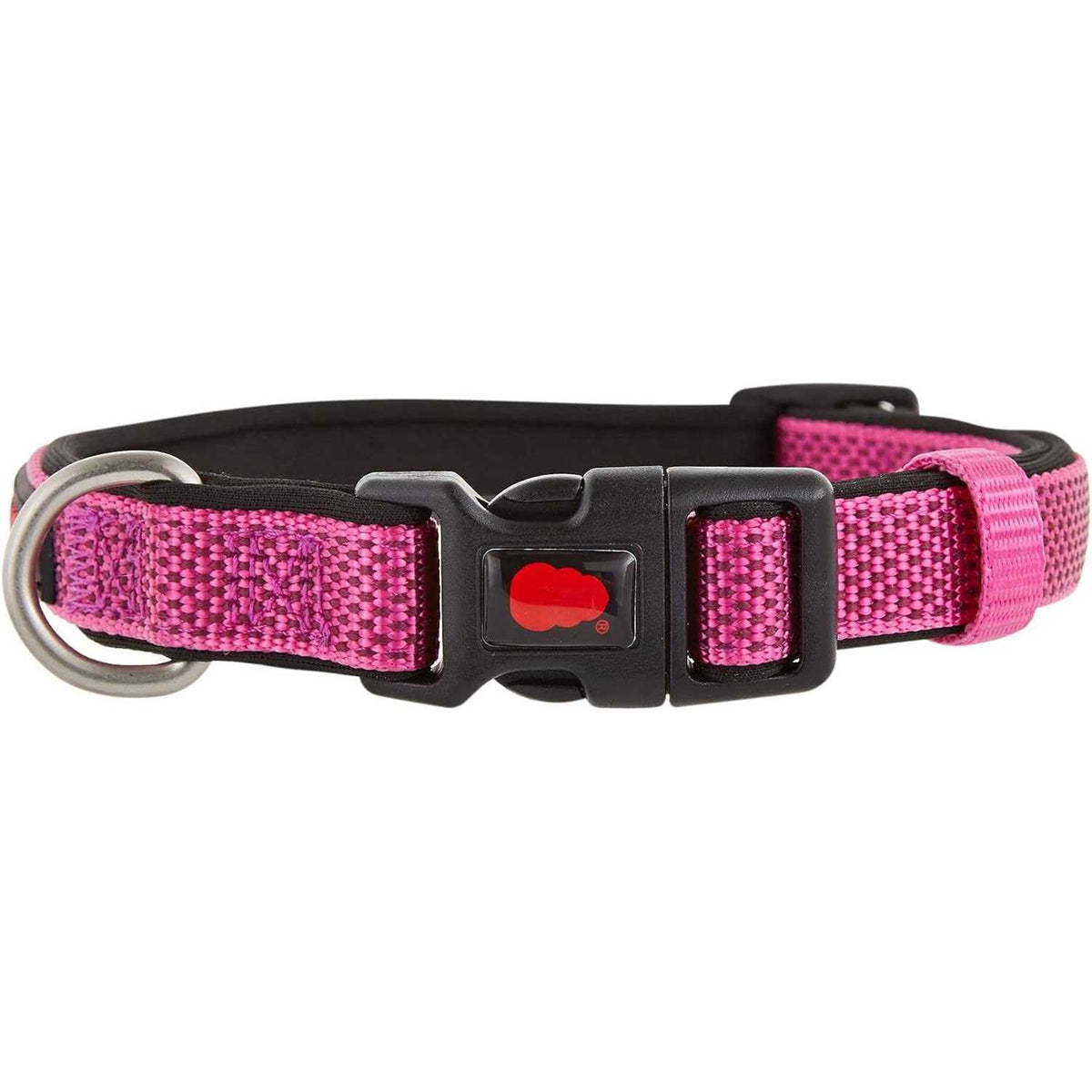 Neoprene Padded Dog Collar Q2496