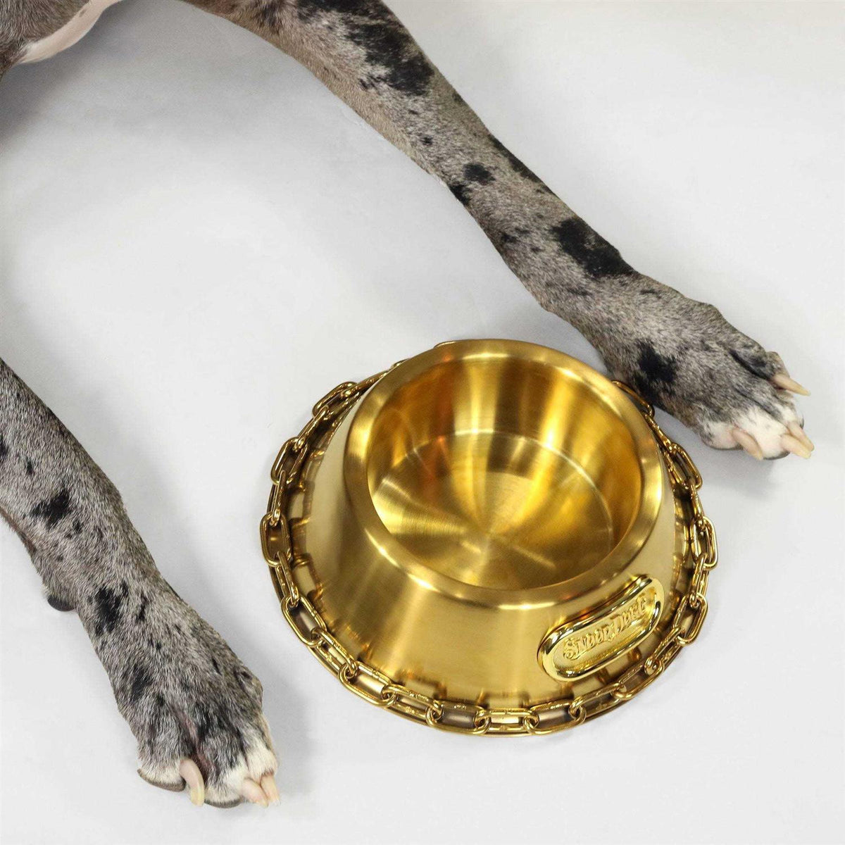 Pet Bowl U4610