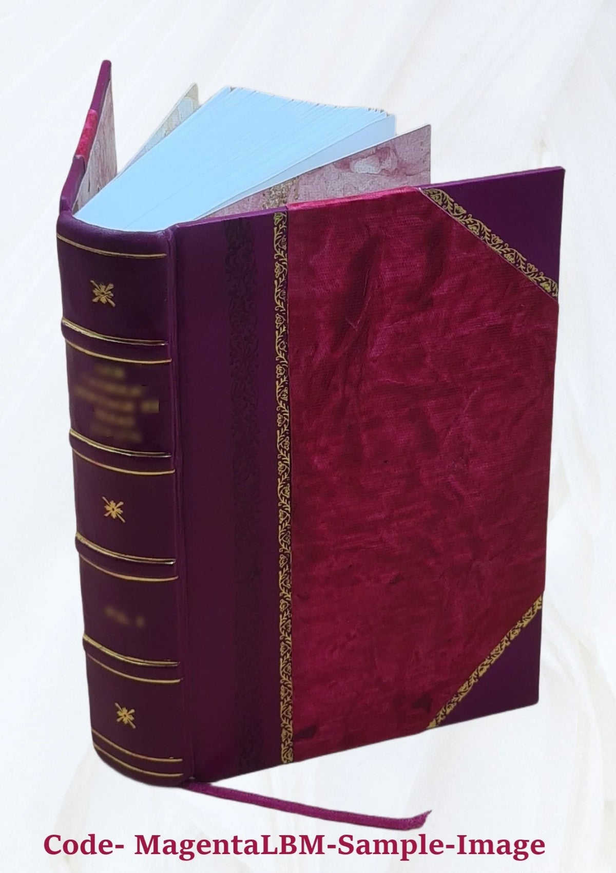 Leather Bound Furniture and Furnishings K1349