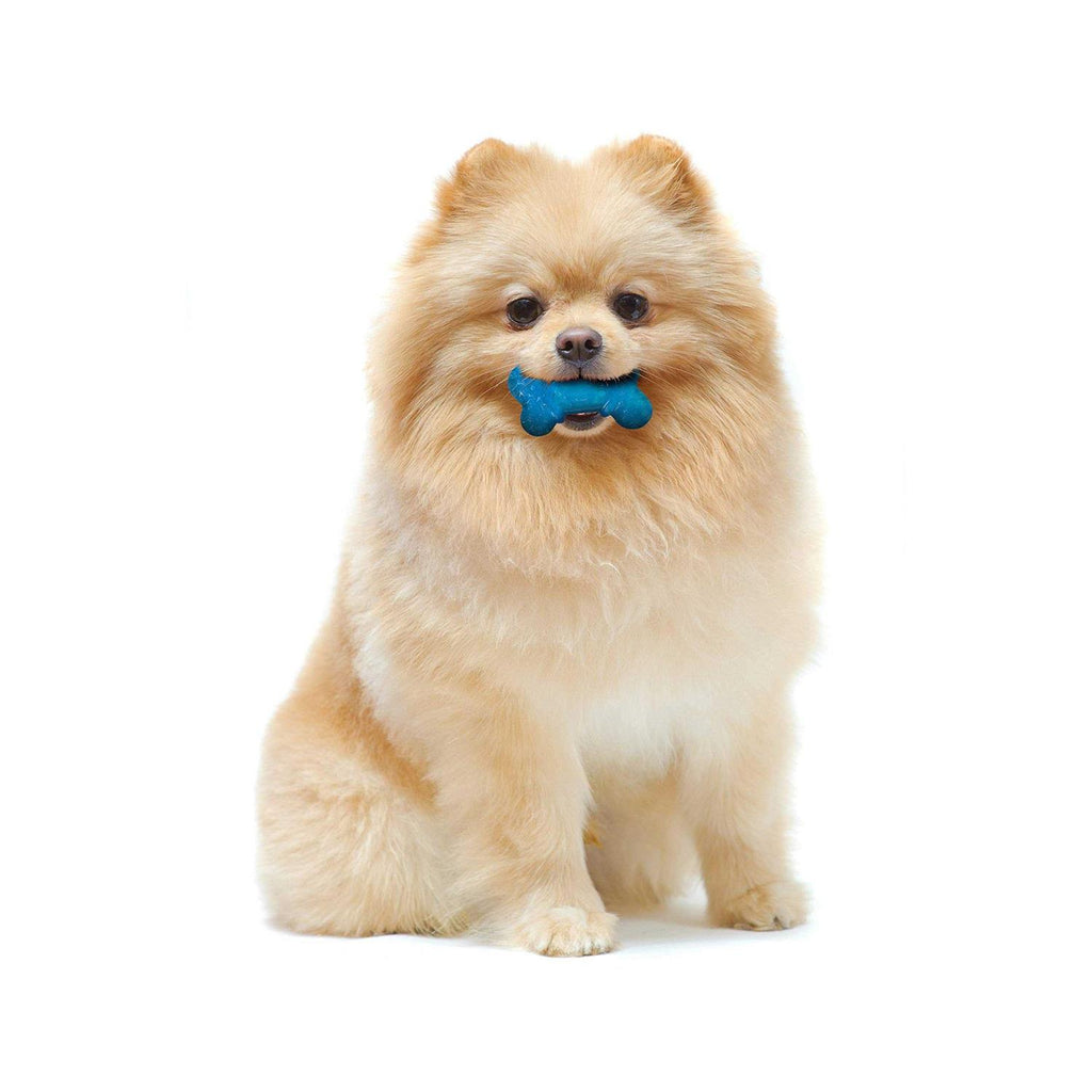 Bacon & Peanut Butter Flavor Chew Bone V804