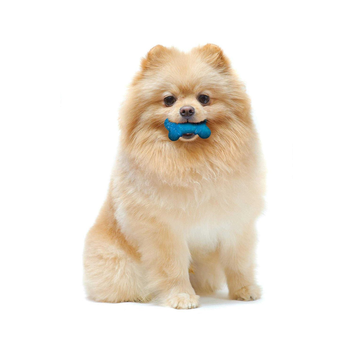 Bacon & Peanut Butter Flavor Chew Bone V804