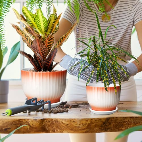 Blue White Ceramic Plant Pots Set of 2 N21452