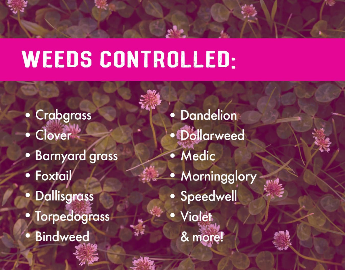 32 ounces Concentrated Crabgrass Herbicide with Quinclorac A9196