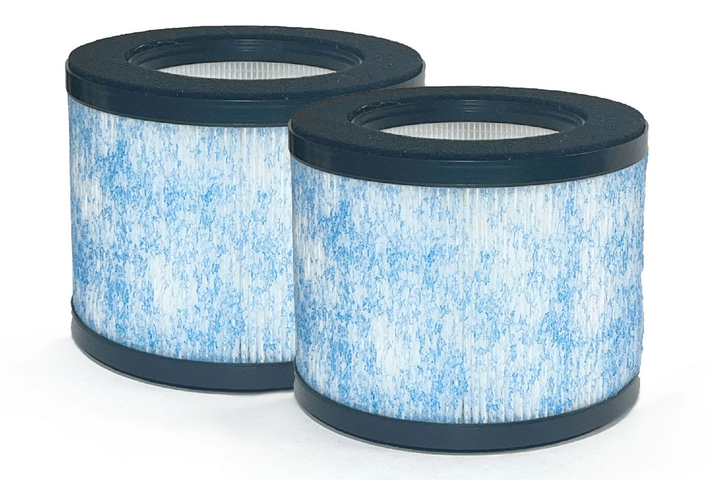 True HEPA Filter Replacement 2 Packs N183962