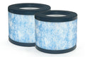 True HEPA Filter Replacement 2 Packs N183962