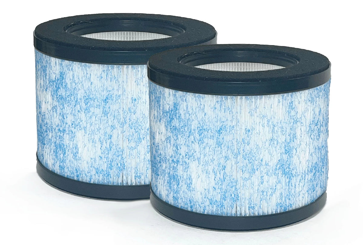 True HEPA Filter Replacement 2 Packs N183962