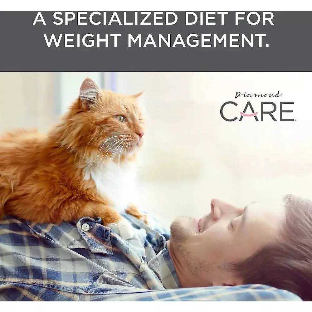 Adult Dry Cat Food R3261