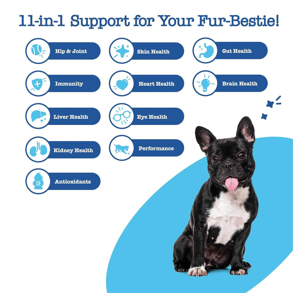 Multivitamin Bites for Dogs A159