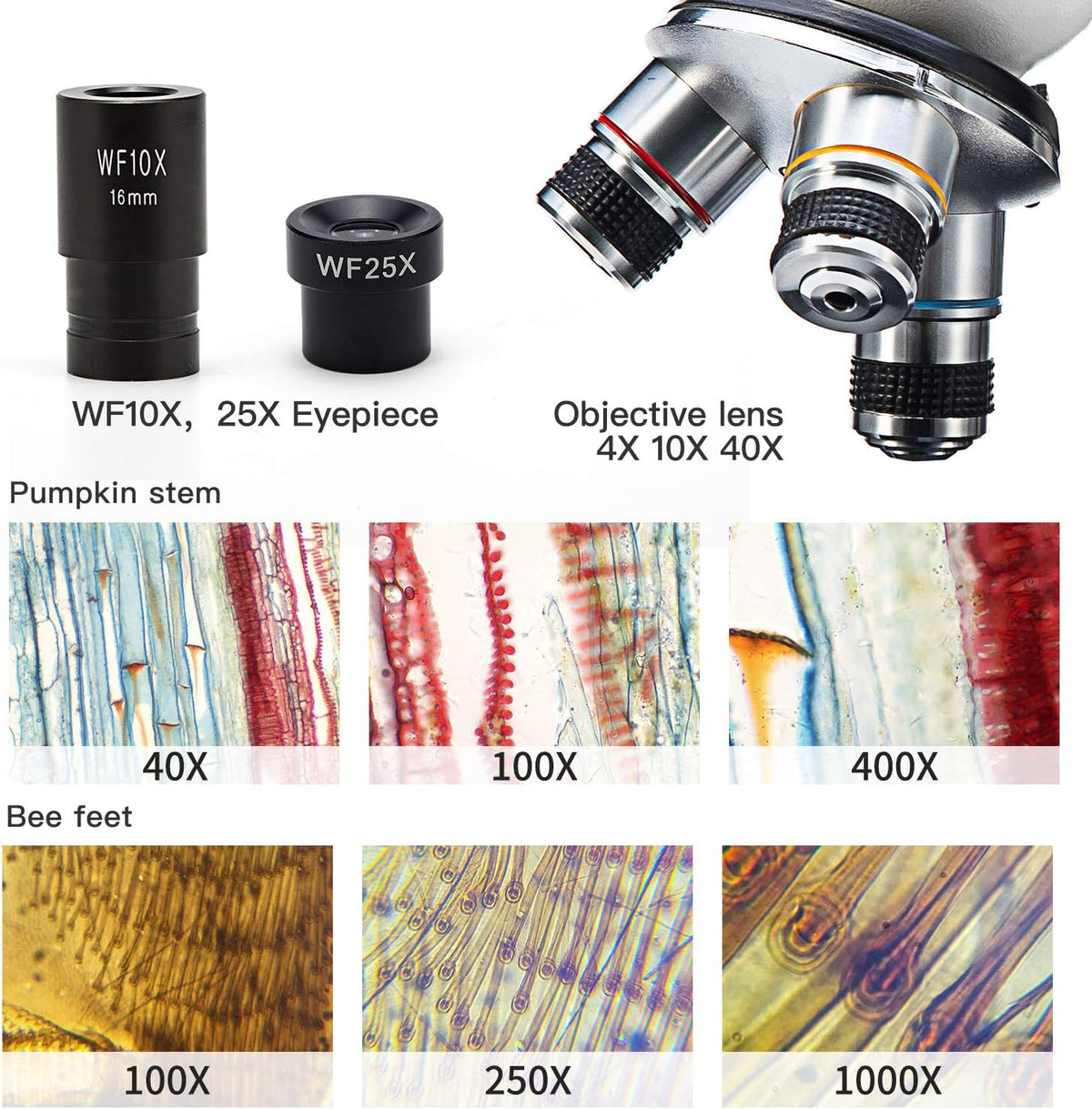 Compound Student Microscope, 40X-1000X, Monocular Head J24667