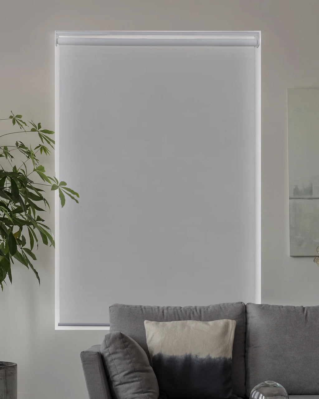 Cordless Roller Shade Blackout 23"W X 72"H R455