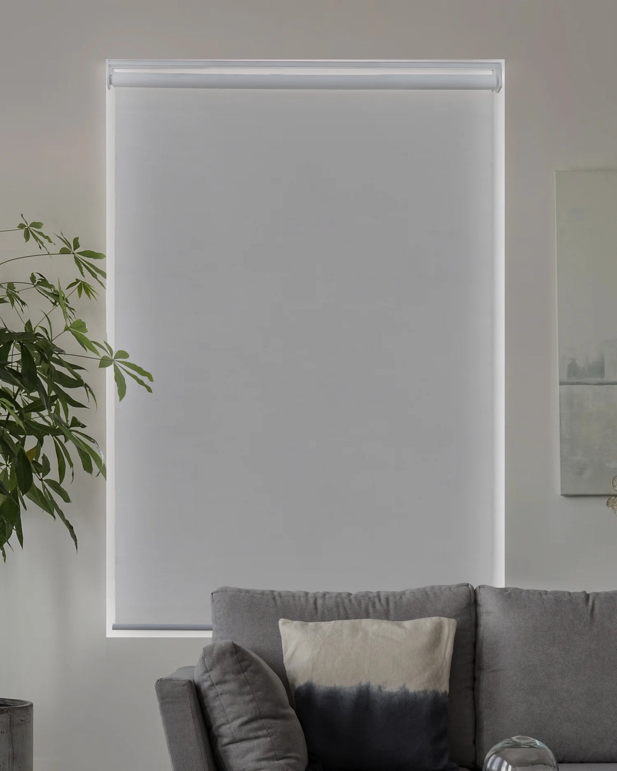 Cordless Roller Shade Blackout 23"W X 72"H R455