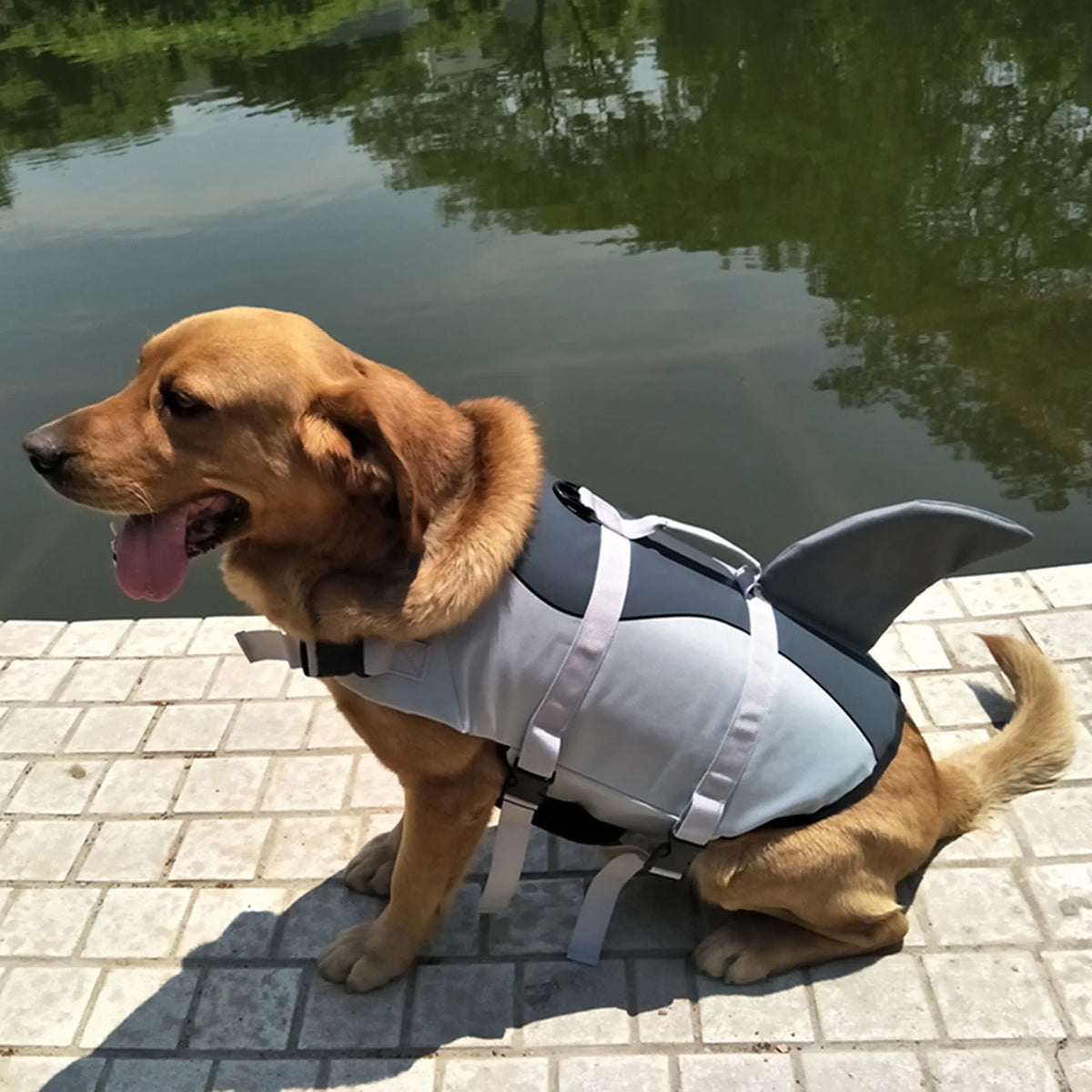 Dog Pet Shark Swimsuit Vest Safety Wear I4538