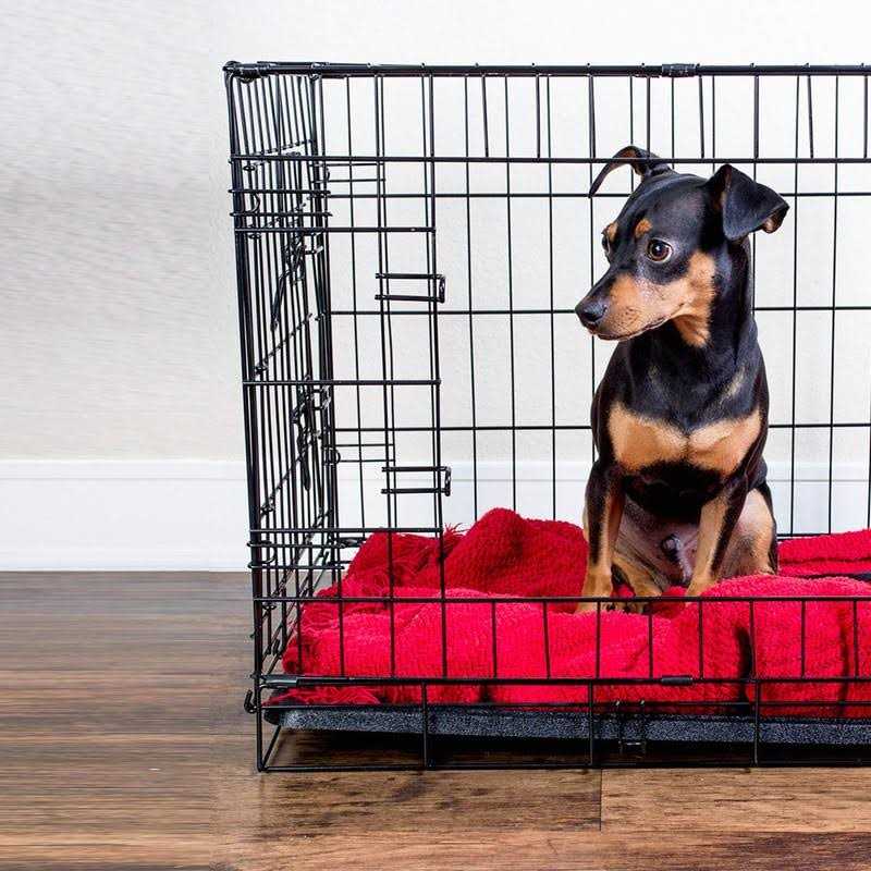 Medium 24 Inch Plastic Replacement Tray for Dog Crate N4194