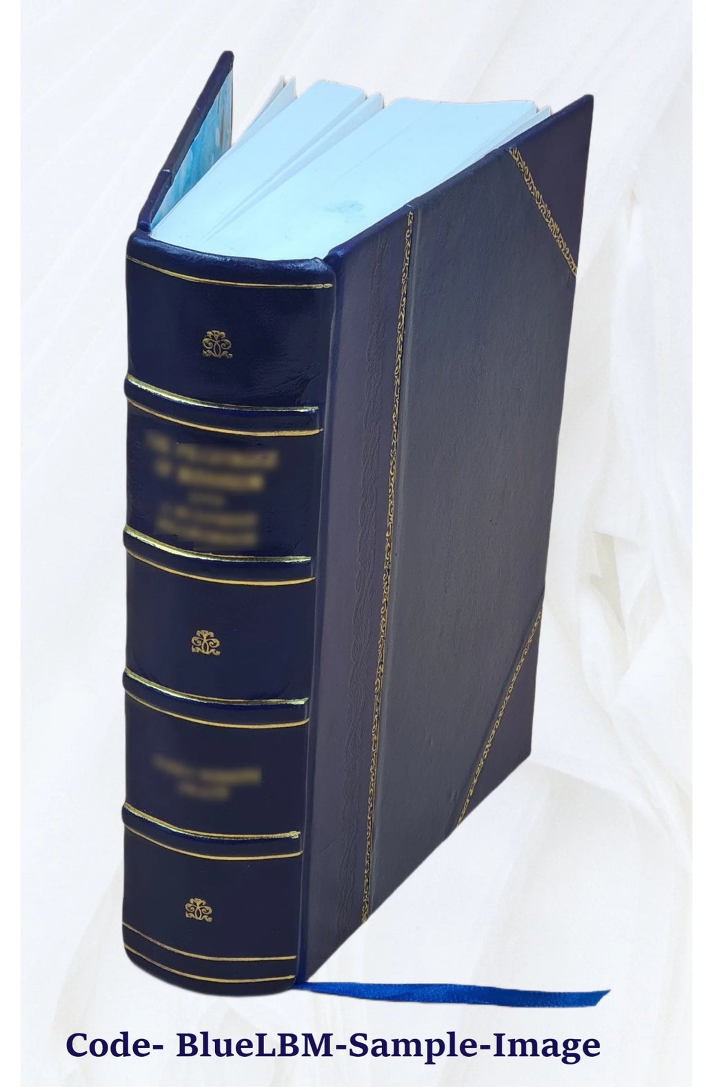 Leather Bound Furniture and Furnishings K1349