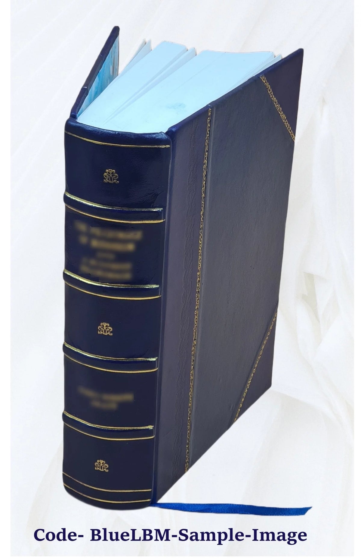 Leather Bound Furniture and Furnishings K1349