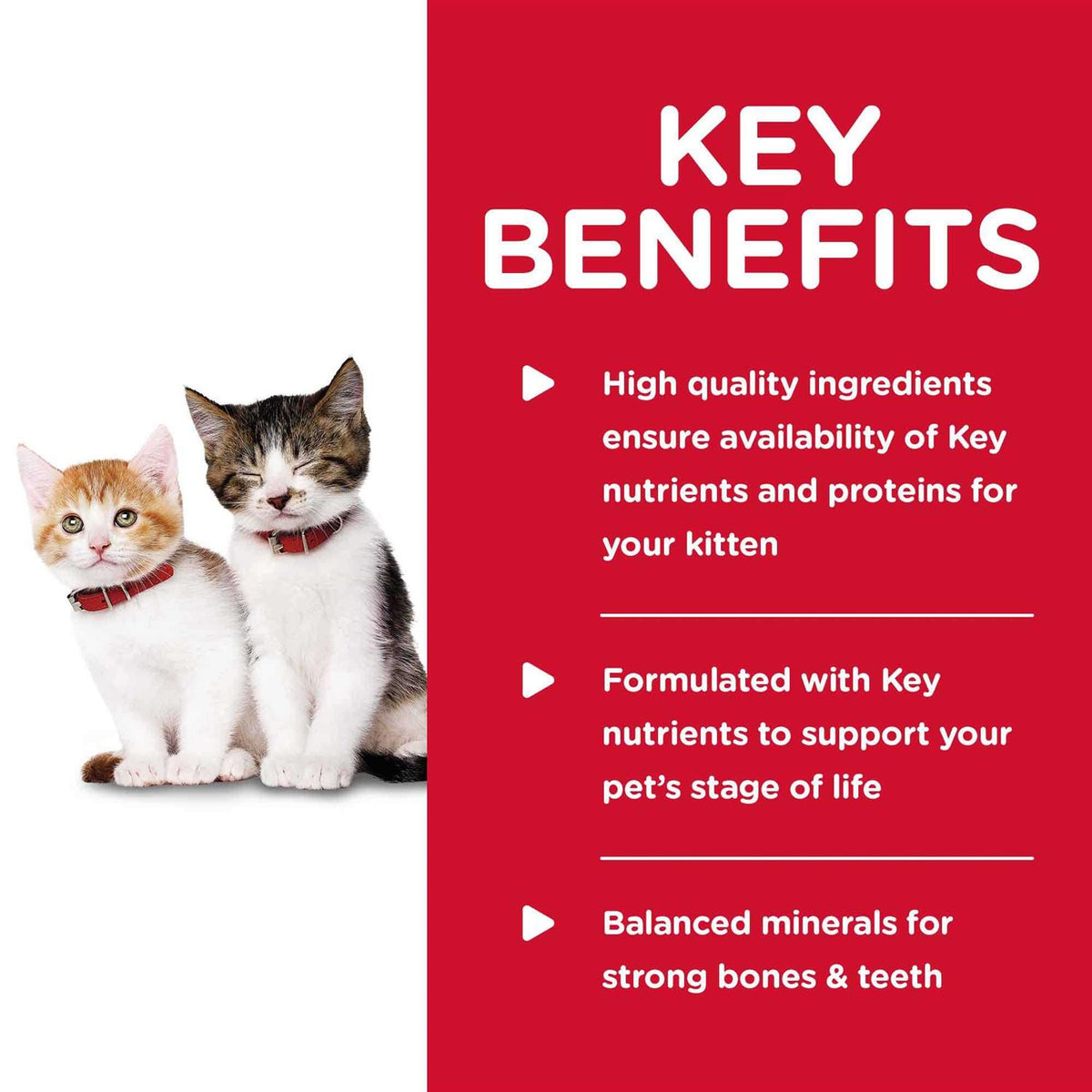 Kitten Wet Cat Food S66033