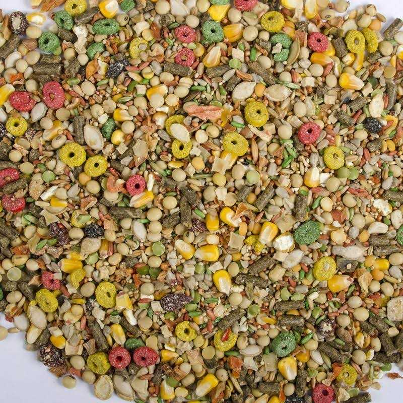 Hamster and Gerbil Advanced Nutrition Diet J215