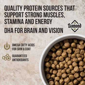 Adult Dog Food K647179