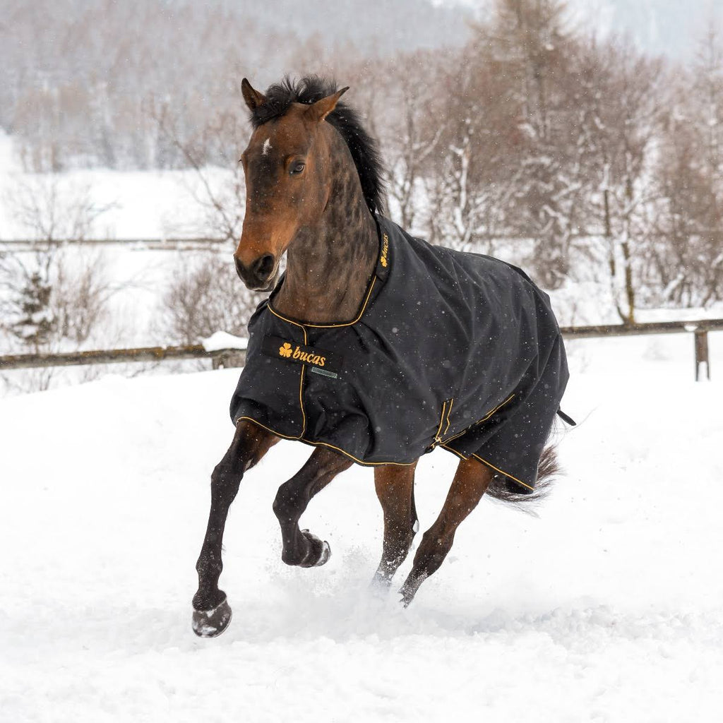 50 Grams 175 Black / Gold Turnout M41743