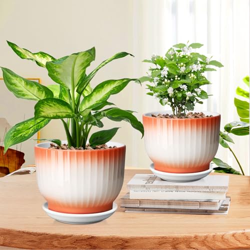 Blue White Ceramic Plant Pots Set of 2 N21452