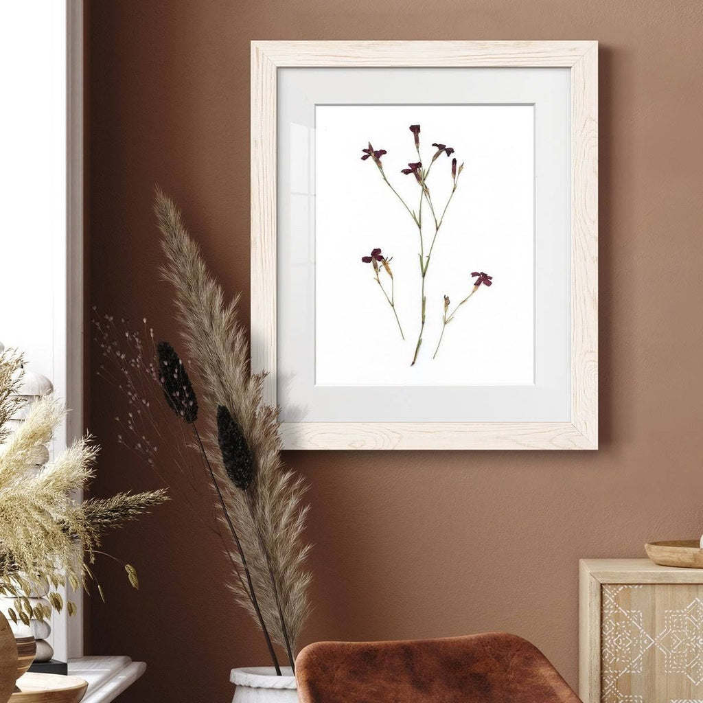 Maple Framed Print N4192