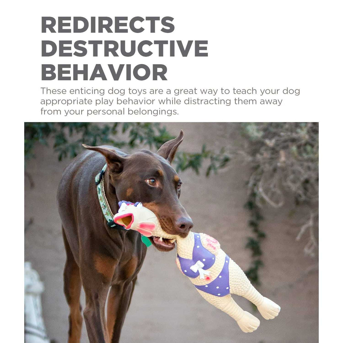 Latex Pet Toy A709