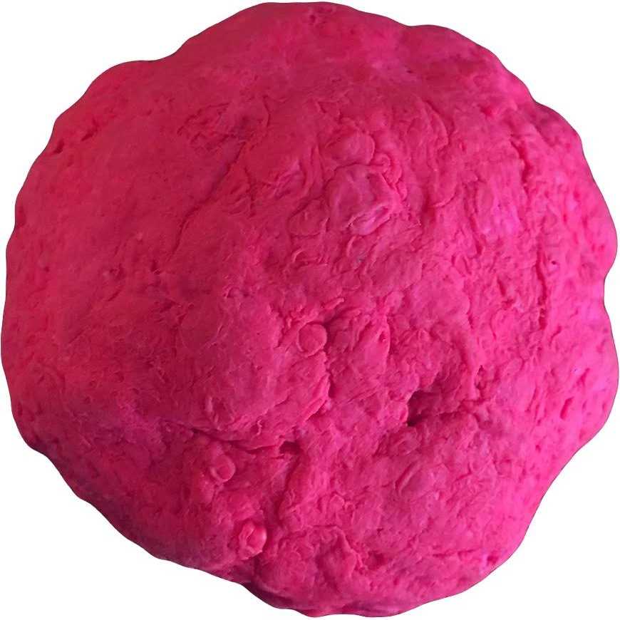 Fetch Dog Toy I25496