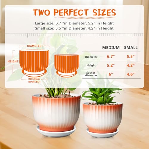 Blue White Ceramic Plant Pots Set of 2 N21452
