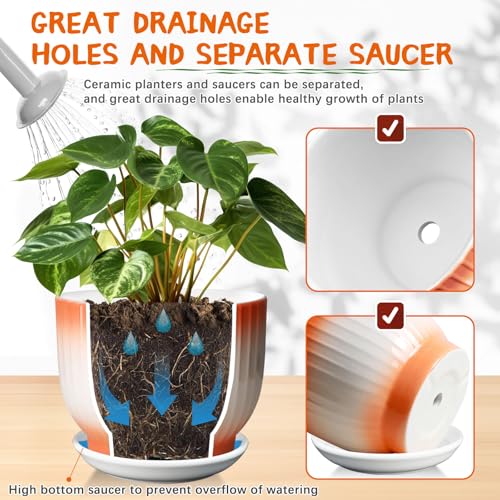 Blue White Ceramic Plant Pots Set of 2 N21452