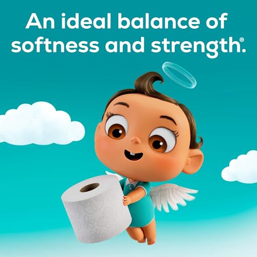 48 Mega Rolls Toilet Paper Q2410