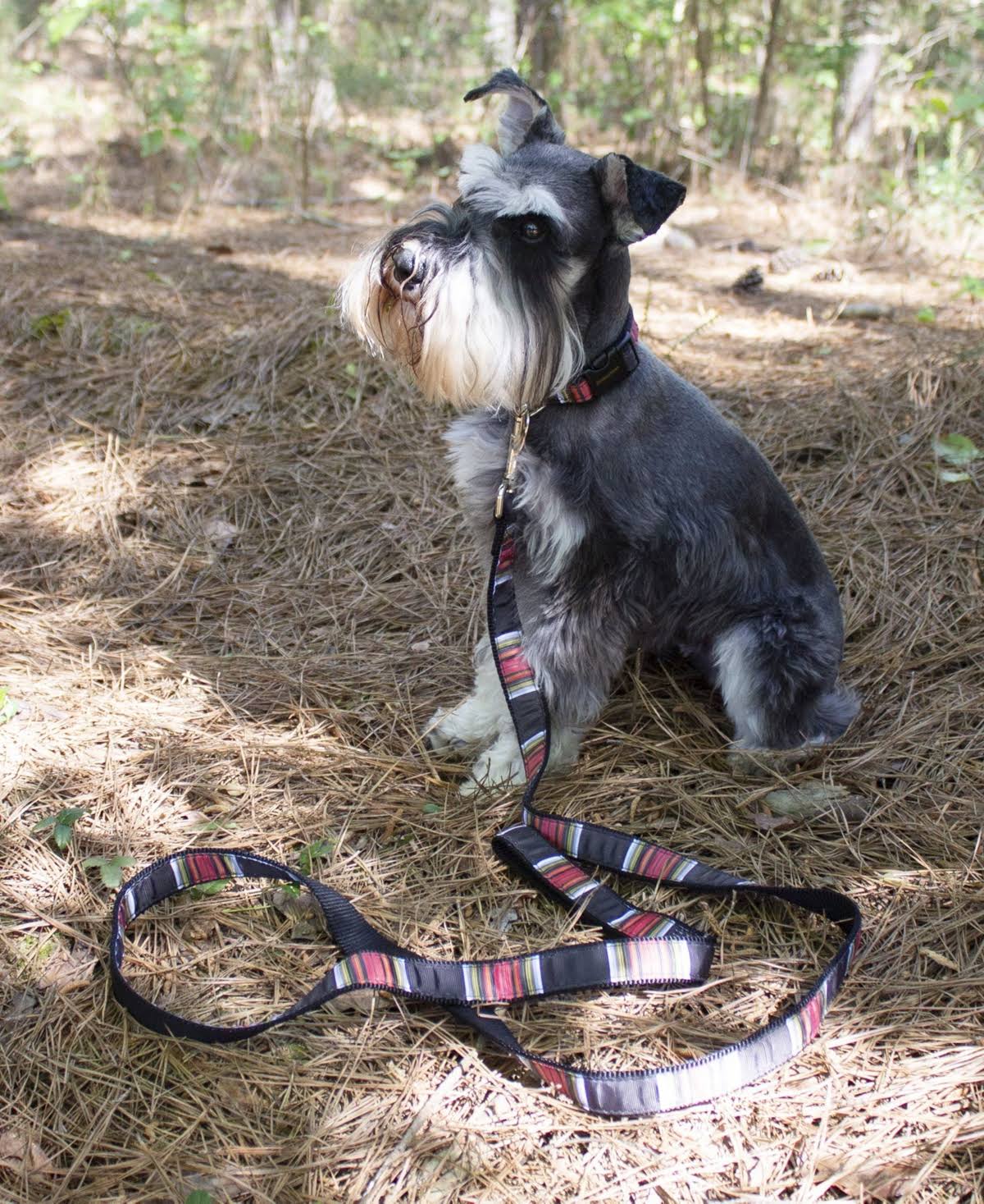 Hiker Leash Z8999