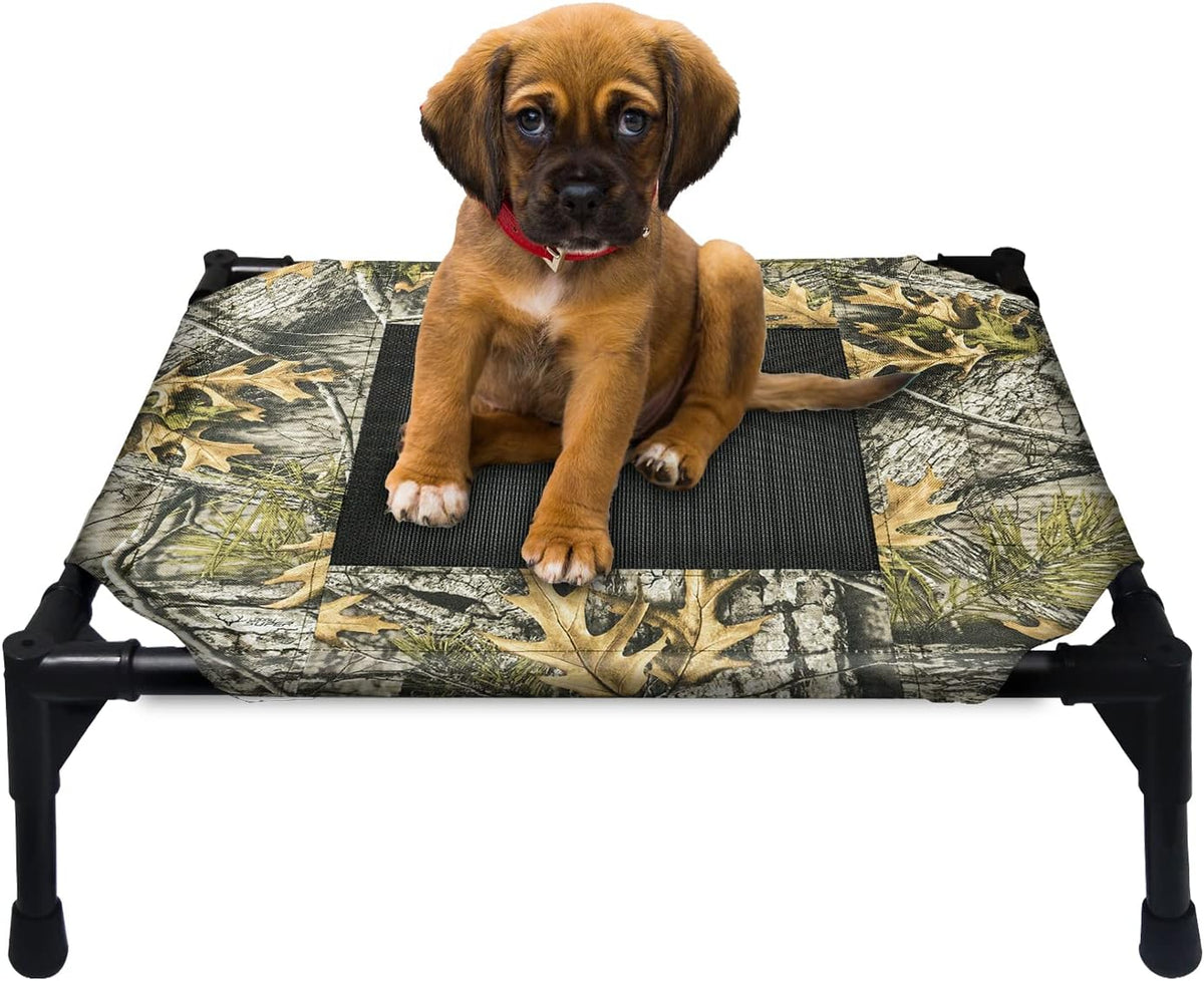 Elevated Dog Bed Cooling Cot with Mesh Center P4778