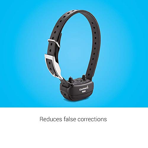 Rechargeable Dog Training Collar V1309