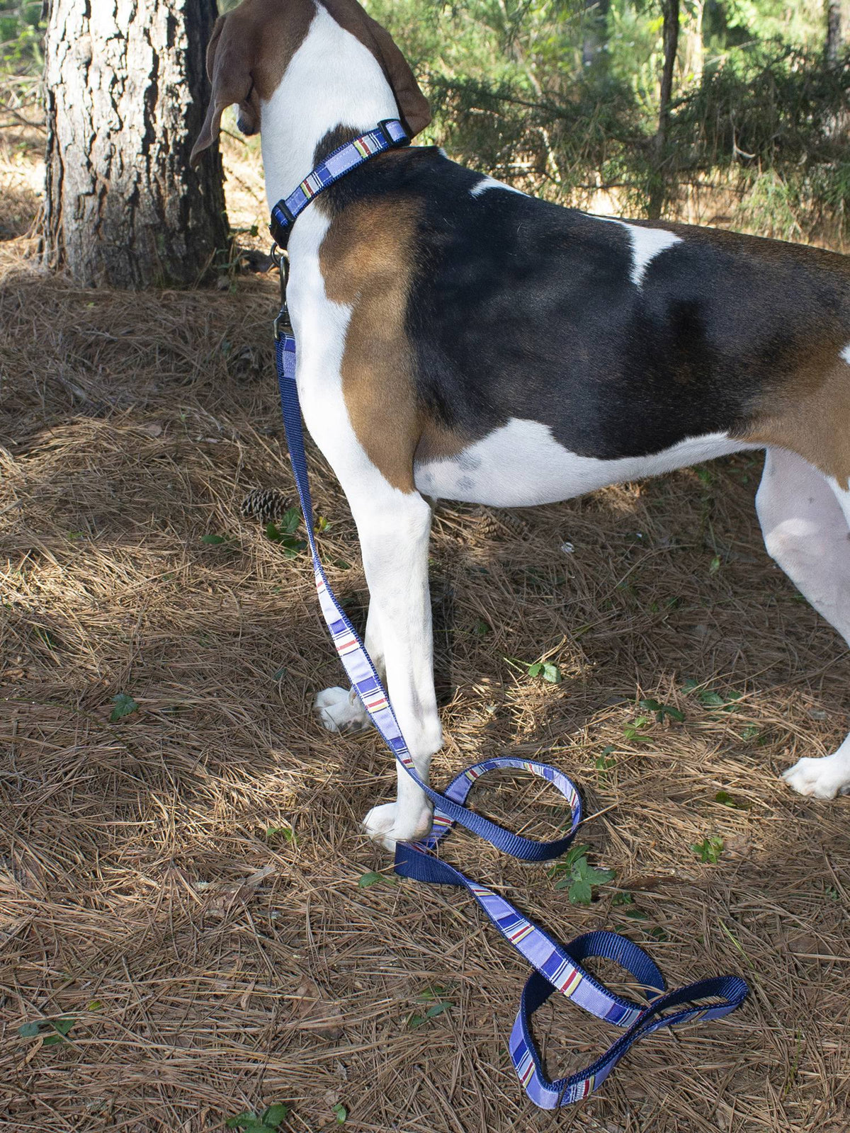 Hiker Leash Z8999